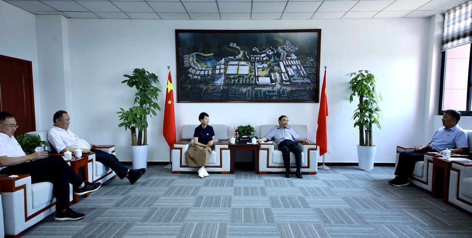 访谈 访谈