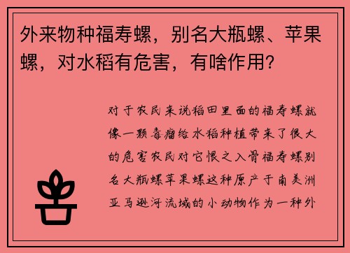 外来物种福寿螺，别名大瓶螺、苹果螺，对水稻有危害，有啥作用？