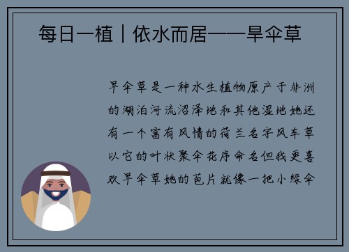 ​每日一植｜依水而居——旱伞草