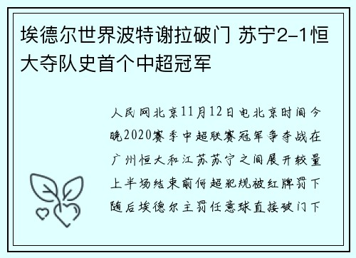 埃德尔世界波特谢拉破门 苏宁2-1恒大夺队史首个中超冠军